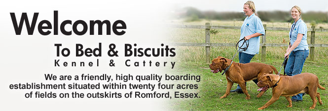 Wlecome to bed and biscuits kennel and cattery in Romford Essex