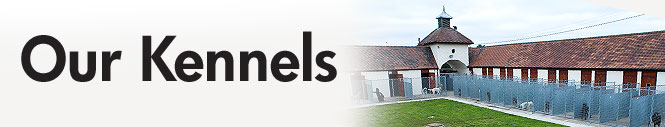 Dog Kennels, Boarding Kennels Essex